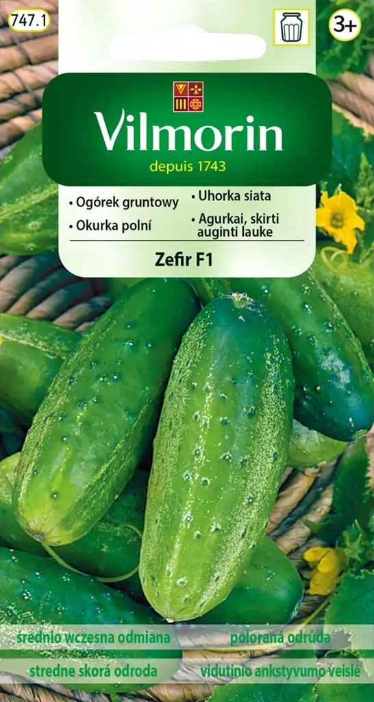 Okurka polní Zefir F1 - nakládačka, hruboostná, odolná plísni (Vilmorin)
