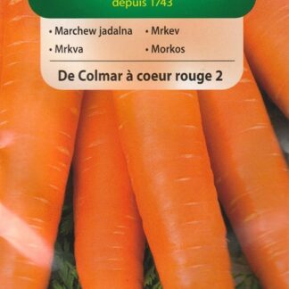 Mrkev De Colmar à coeur rouge 2 - pozdní, dlouhá, typ Flakkese (Vilmorin)