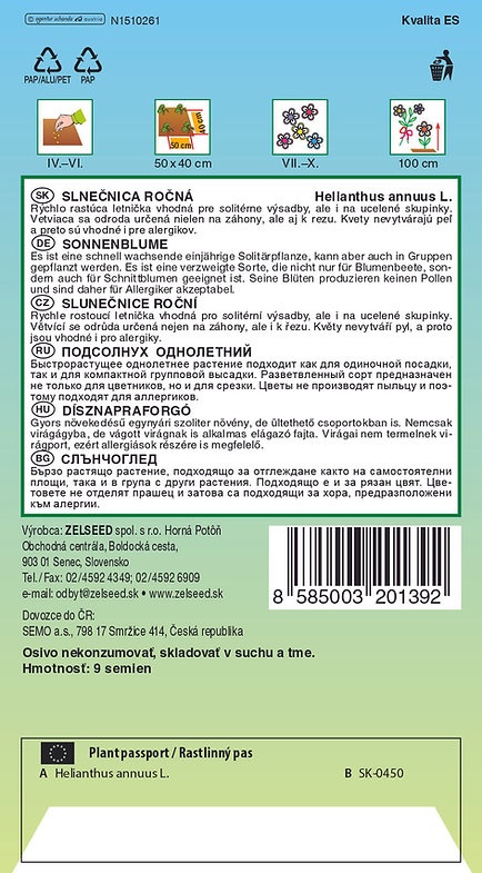 Slunečnice roční Soleo F1 - žlutá, mnohokvětá, bez pylu (pěstování)