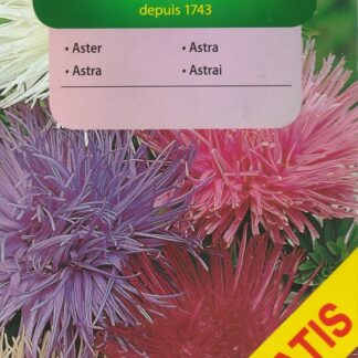 Astra čínská jehlicovitá - směs, o 50 % větší balení (Vilmorin)