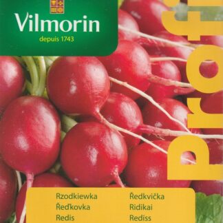 Ředkvička Florella F1 - červená, kulatá, pro rychlení, odolná praskání (Vilmorin)